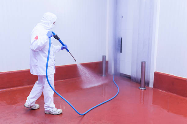 Boat and Dock Cleaning in Baiting Hollow, NY